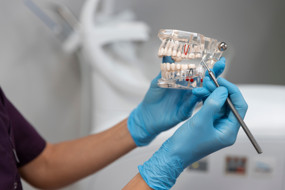 Instrumenty stomatologiczne demonstrujące uzębienie (Autorstwo: freepik)